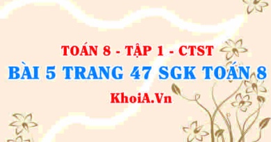 Bài 5 trang 47 SGK Toán 8 Tập 1 Chân trời sáng tạo
